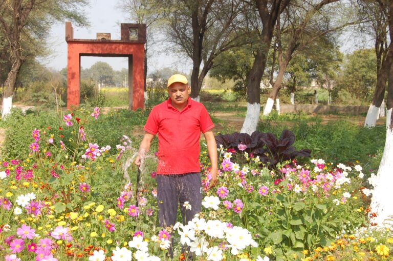 शिवधाम योजना के तहत तलवंडी राणा श्मशान घाट को भूले अधिकारी