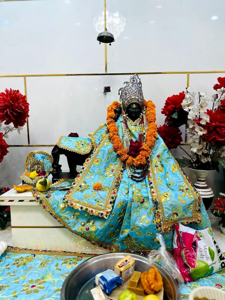 प्राचीन श्री शनि धाम में शनैश्चरी अमावस्या पर्व 29 मार्च को