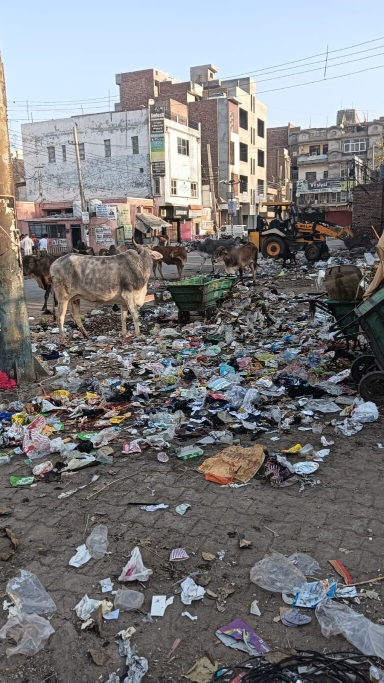सदर गेट के निकट डाला जा रहा कूड़ा बन रहा मुसीबत