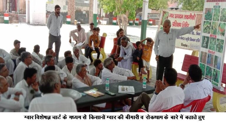 मई के महीने में न करें ग्वार की बिजाई