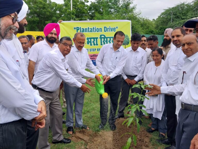 जिला विधिक सेवा प्राधिकरण द्वारा लगाए जाएंगे 50 हजार पौधे, जिला एवं सत्र न्यायाधीश ने पौधा लगाकर मुहिम की की शुरूआत