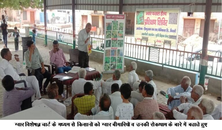 मौसम में अधिक नमी बढऩे से ग्वार फसल पर बीमारियों तथा कीटों का प्रकोप बढ़ा: डा. बी.डी. यादव