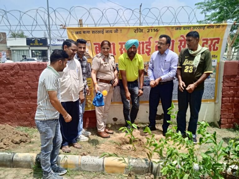 बाबा सरसाईनाथ सेवा ट्रस्ट का प्रयास सराहनीय: प्रो. विजय कुमार