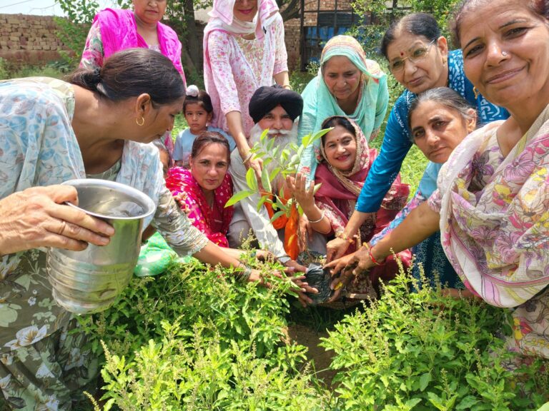 पौधे रोपित कर महिलाओं ने सांझी की तीज पर्व की खुशी