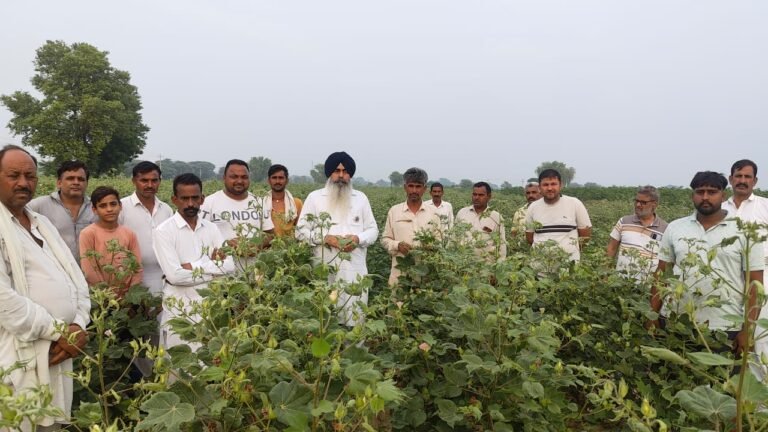 एफएमसी कंपनी की स्प्रे मशीन से किसान की 3 एकड़ नरमे की फसल नष्ट: लखविंदर सिंह औलख