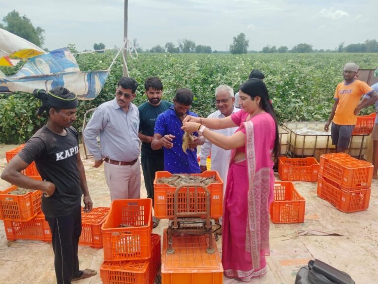 महिला सशक्तिकरण व किसानों के लिए की गई घोषणाएं स्वागत योग्य: विमला सिंवर