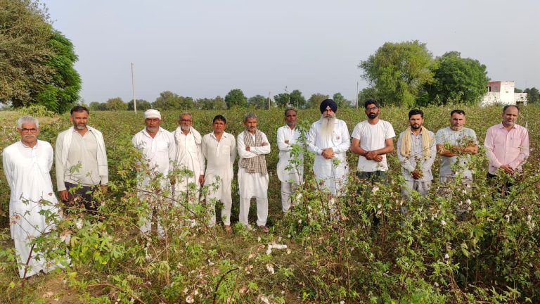 बेमौसमी बरसात से किसानों की पकी हुई फसल हुई बर्बाद: लखविंदर सिंह औलख