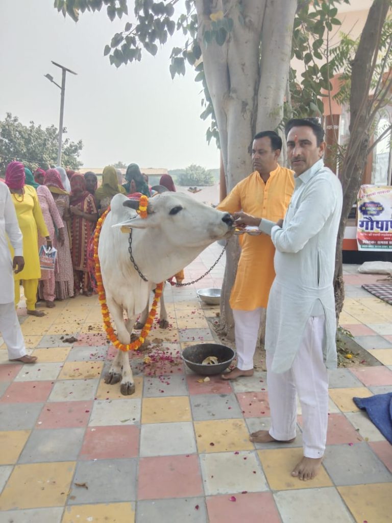 फूलकां गौशाला में धूमधाम से मनाया गोपाष्टमी का पर्व