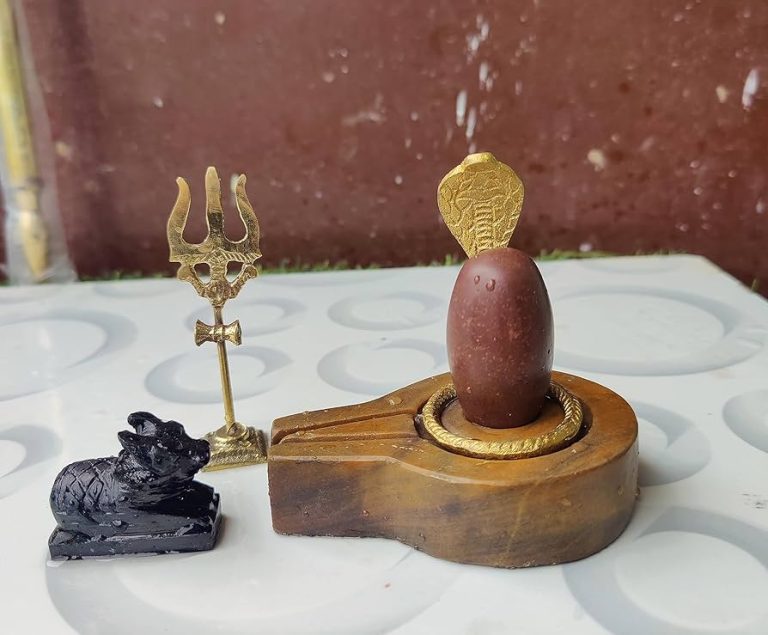 गौशाला प्रकरण में धर्म की हुई जीत