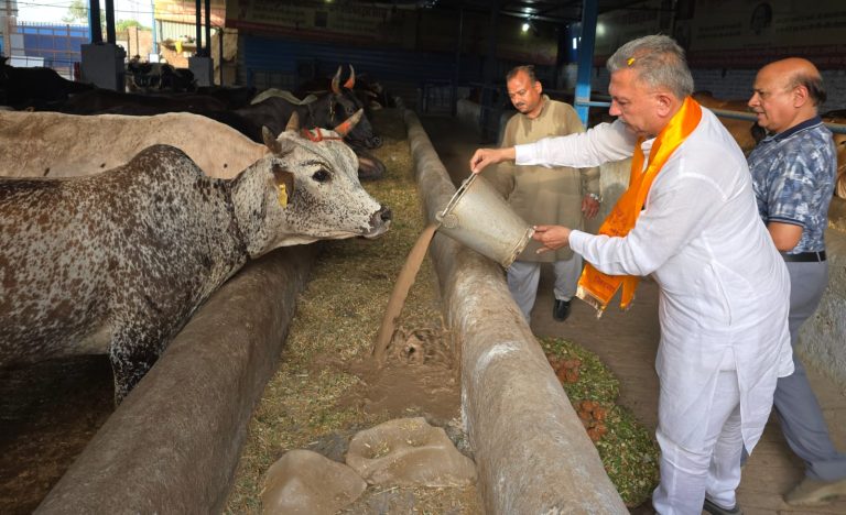 रोटरी इंटरनेशनल डिस्ट्रिक्ट गवर्नर भूपेश मेहता पहुंचे गौधाम