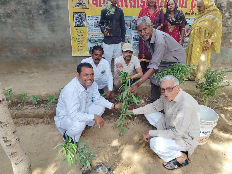 बाबा सरसाईनाथ सेवा ट्रस्ट ने पौधारोपण कर मनाया प्रधानमंत्री का जन्मदिन