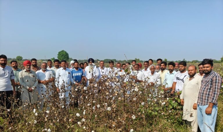 टीम बीकेई ने किसानों के साथ किया कीटनाशक के छिड़काव से खराब हुई नरमे की फसल का निरीक्षण: लखविंदर सिंह औलख